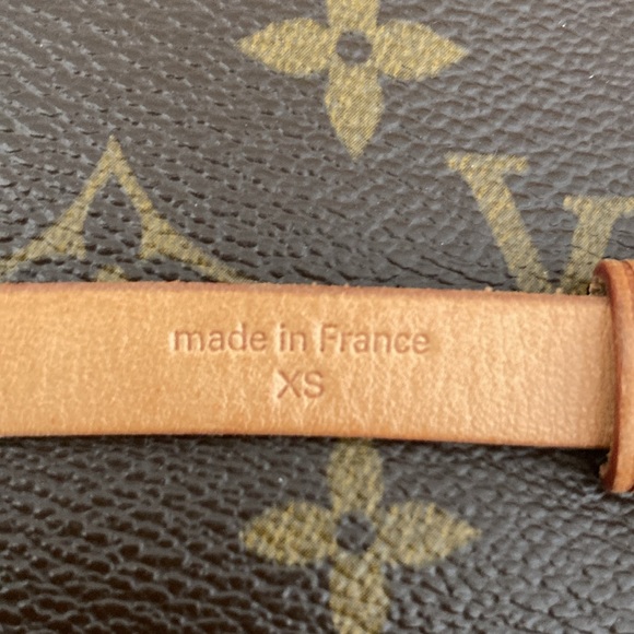 Louis Vuitton Florentine Belt Bag - Picture 8 of 15
